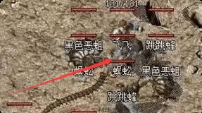 回归老炮才懂：蜈蚣洞挂机，群隐比强效HP药水实在
